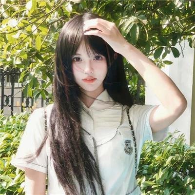 黑之契约者2:流星的双子